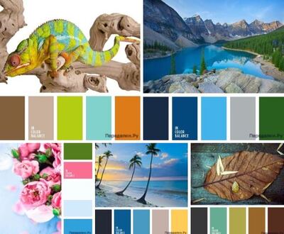 sochetanie golubogo czveta 1