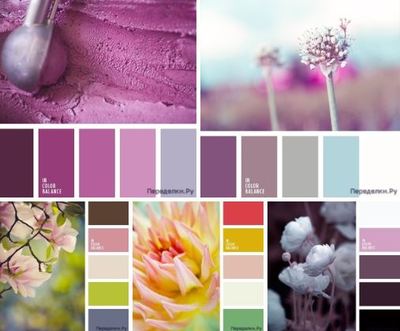 sochetanie rozovogo czveta 1