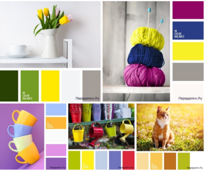 sochetanie zheltogo czveta 1 1